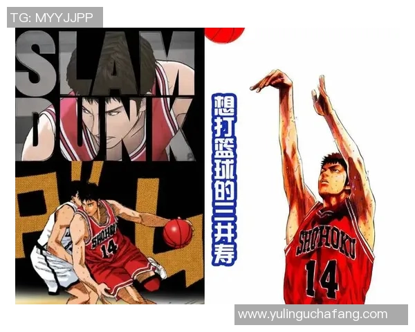 篮球明星中国头像的魅力与影响力探讨及其在文化交流中的重要性